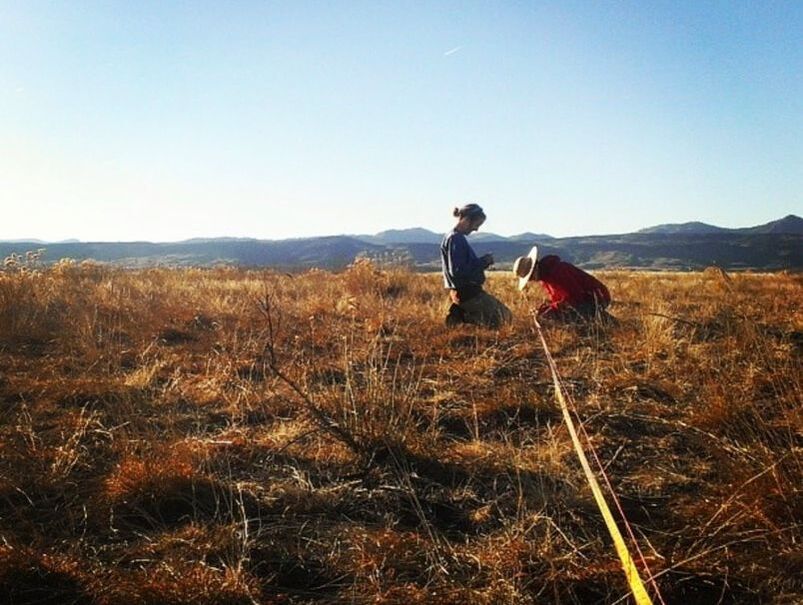 researchers in the field taking samples